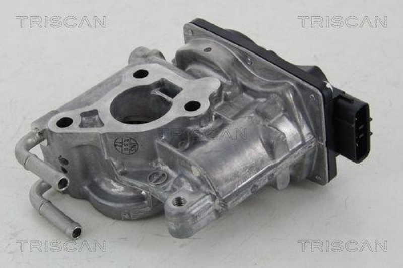 TRISCAN 8813 13021 Agr Ventil für Toyota