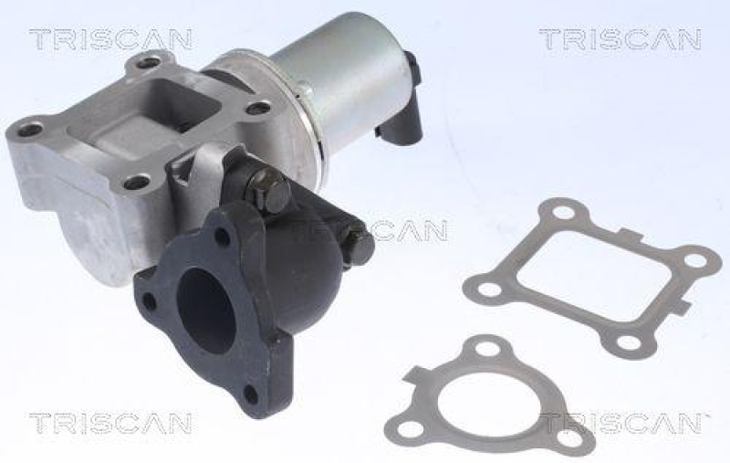 TRISCAN 8813 43200 Agr Ventil für Hyundai