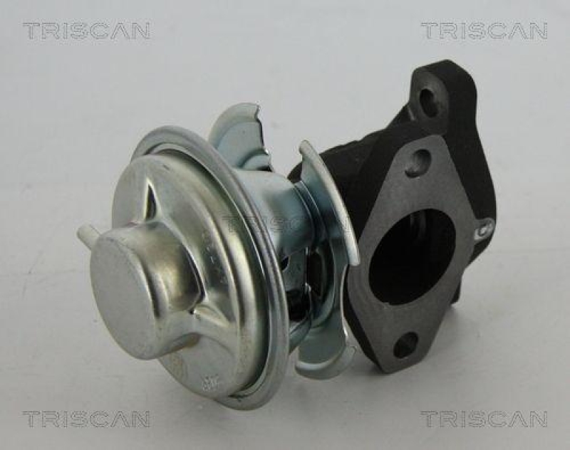 TRISCAN 8813 43201 Agr Ventil für Hyundai