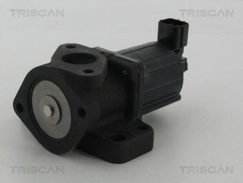 TRISCAN 8813 50007 Agr Ventil für Mazda