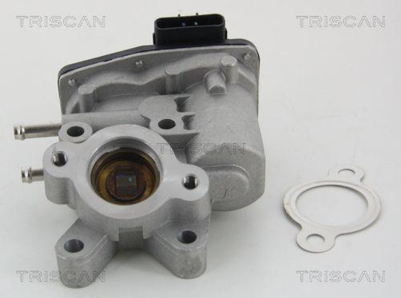 TRISCAN 8813 14100 Agr Ventil für Nissan