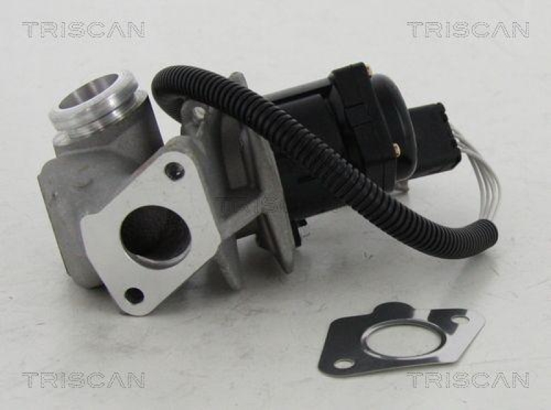 TRISCAN 8813 16034 Agr Ventil für Ford/Volvo/Mazda