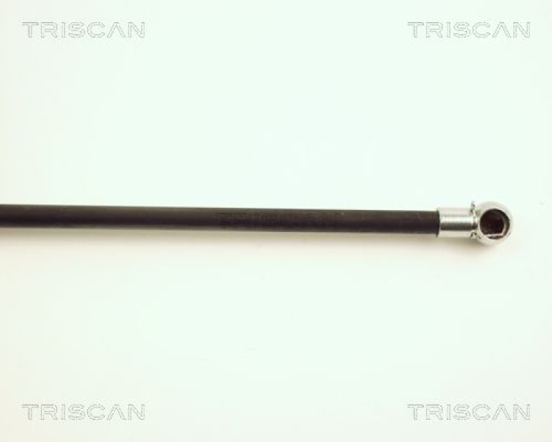 TRISCAN 8710 25220 Gasfeder Hinten für Renault Clio Ii