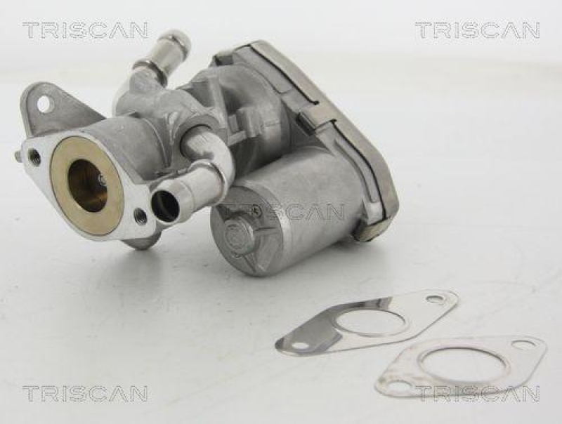 TRISCAN 8813 16100 Agr Ventil für Ford