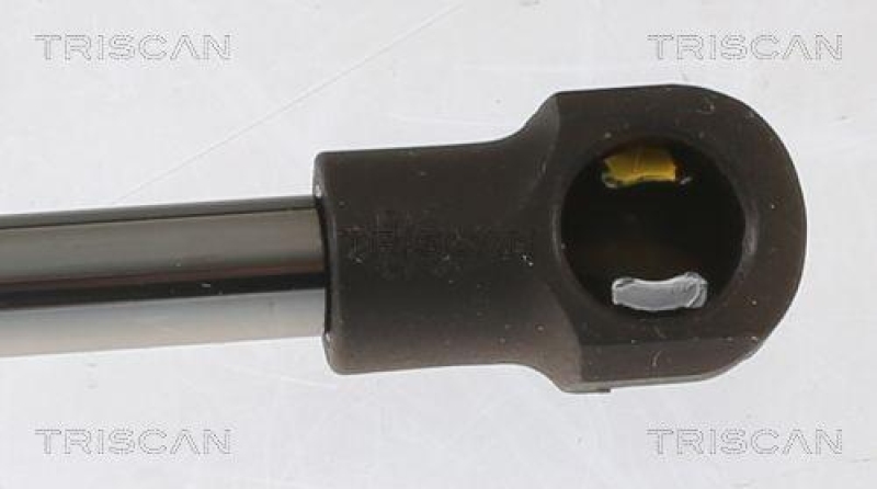 TRISCAN 8710 40244 Gasfeder Hinten für Jazz 15-