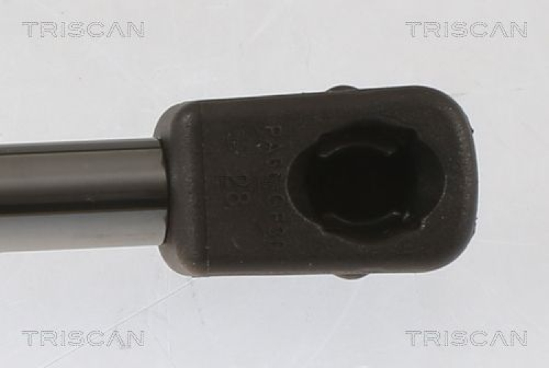 TRISCAN 8710 40245 Gasfeder Hinten für Civic 14-