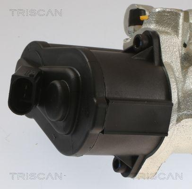 TRISCAN 8175 29231 Triscan Bremssattel für Vag