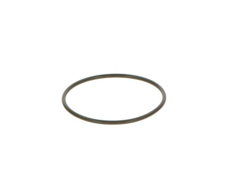 Bosch 2 469 403 065 O-Ring