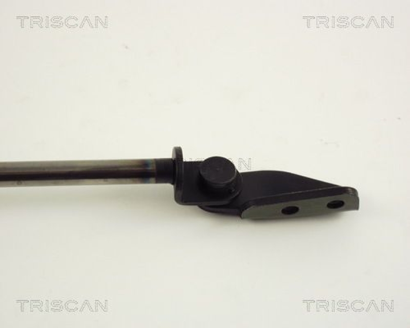 TRISCAN 8710 42217 Gasfeder Hinten für Mitsubishi Space Runner