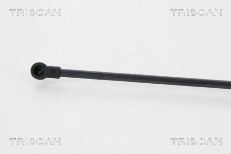 TRISCAN 8710 25255 Gasfeder Hinten für Renault Scenic Iii