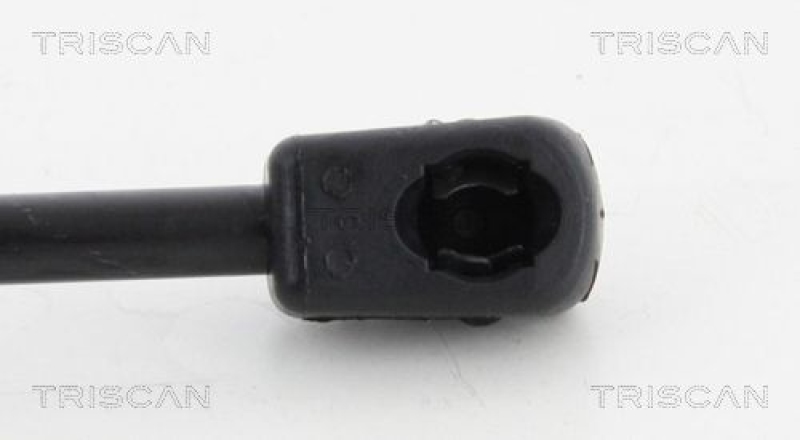 TRISCAN 8710 42241 Gasfeder Hinten für Mitsubishi