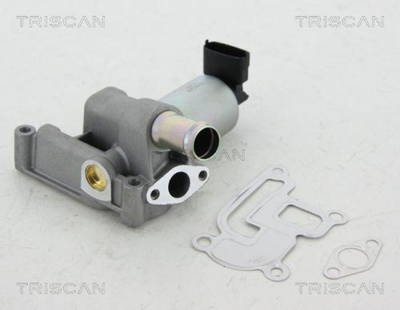 TRISCAN 8813 24001 Agr Ventil für Opel/Fiat/Gm