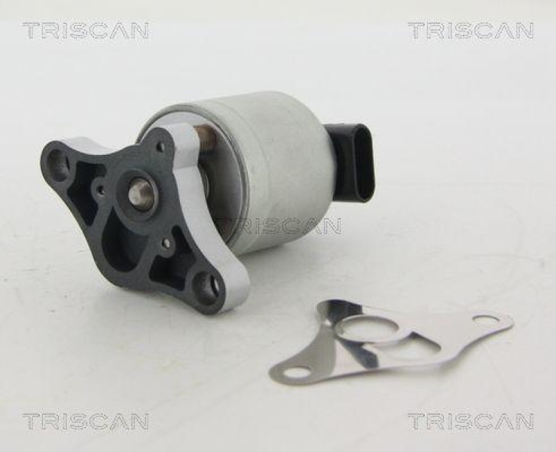 TRISCAN 8813 24002 Agr Ventil für Opel/Saab