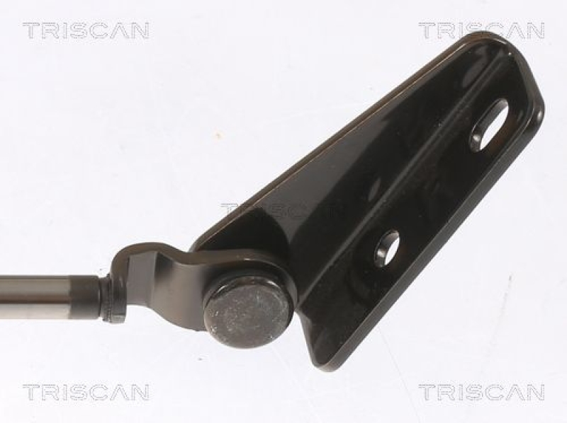 TRISCAN 8710 43203 Gasfeder Hinten für Hyundai Atos