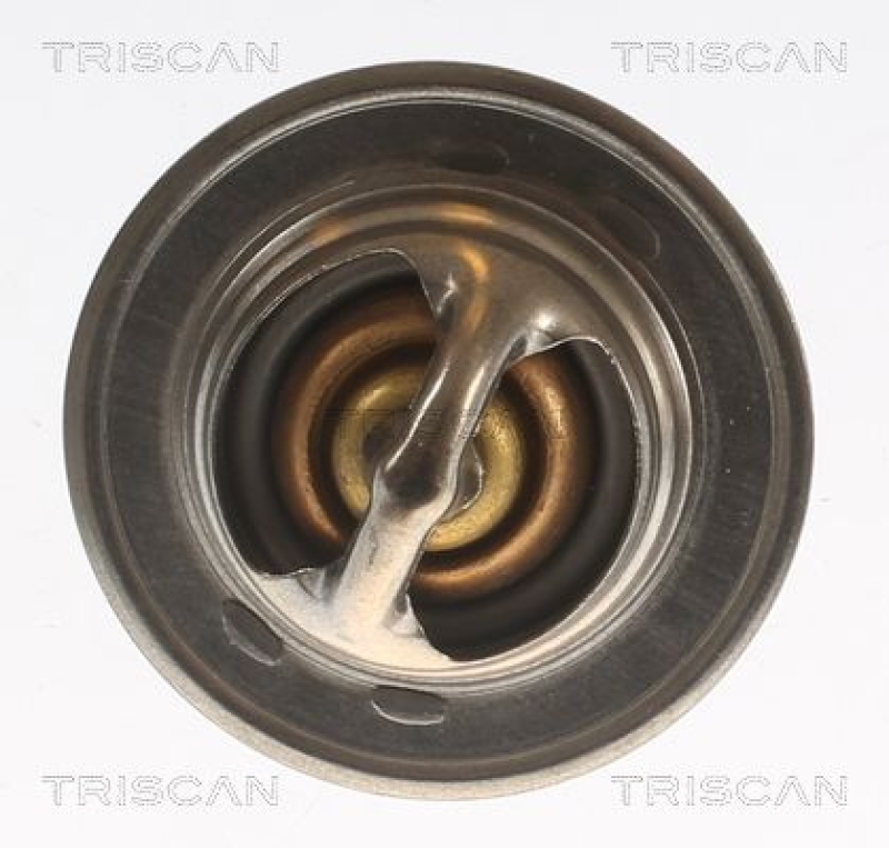 TRISCAN 8620 3982 Thermostat für Vag, Opel (3)