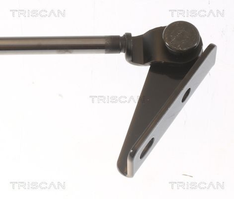 TRISCAN 8710 43204 Gasfeder Hinten für Hyundai Atos