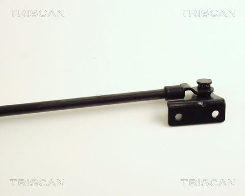 TRISCAN 8710 43205 Gasfeder Hinten für Hyundai H-100