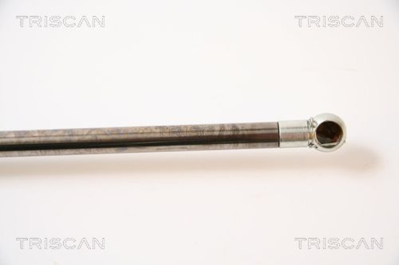 TRISCAN 8710 43209 Gasfeder Hinten für Hyundai Trajet