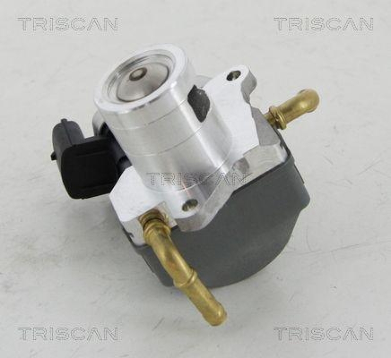 TRISCAN 8813 24046 Agr Ventil für Opel/Gm