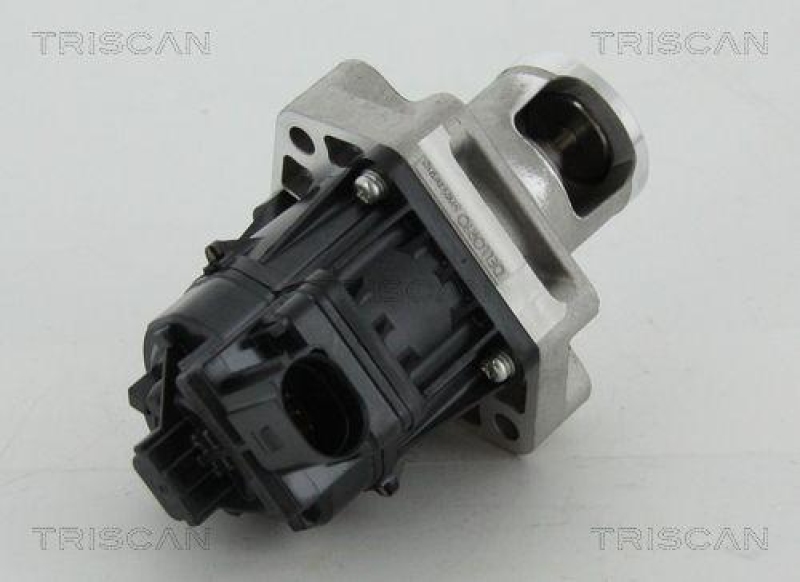 TRISCAN 8813 24083 Agr Ventil für Opel/Gm