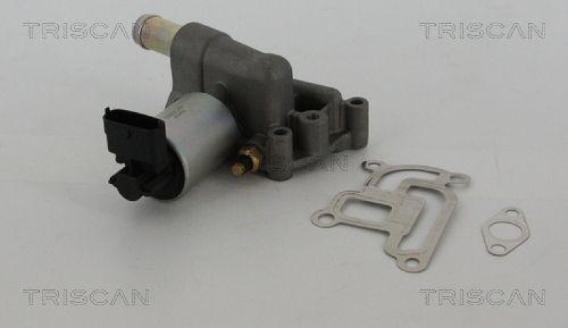 TRISCAN 8813 24200 Agr Ventil für Opel