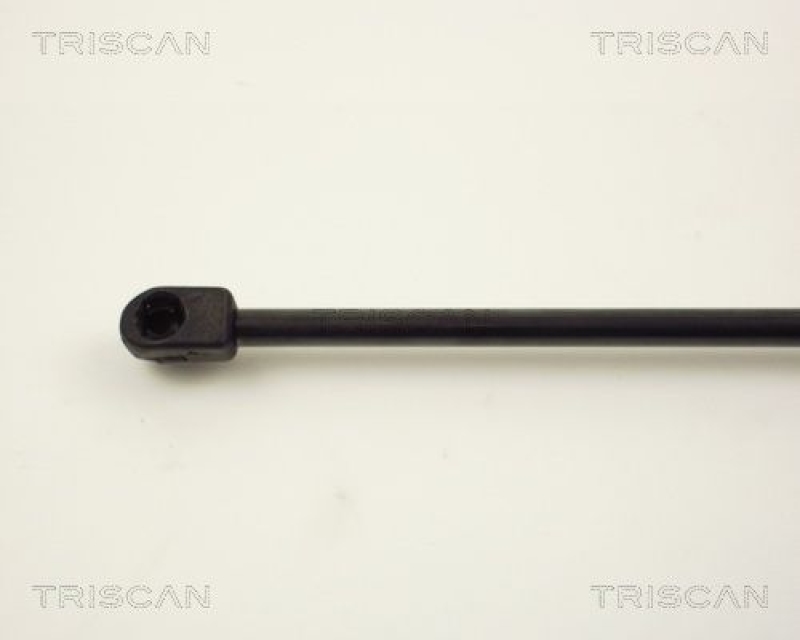 TRISCAN 8710 10200 Gasfeder Hinten für Ford, Seat, Volkswagen