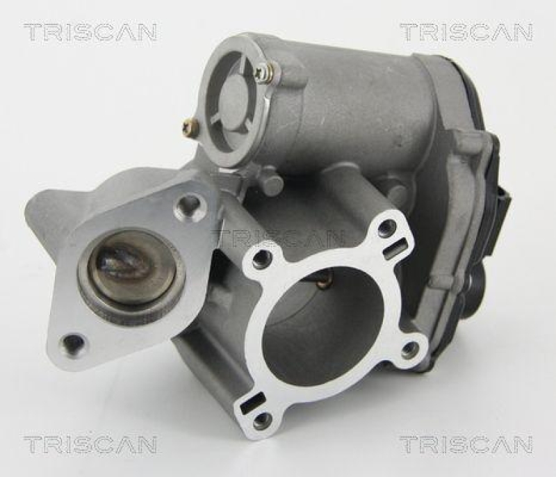 TRISCAN 8813 25010 Agr Ventil für Renault/Dacia