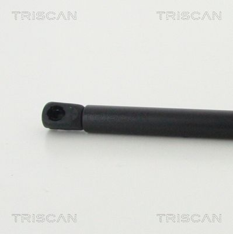 TRISCAN 8710 43246 Gasfeder Hinten für Hyundai I10