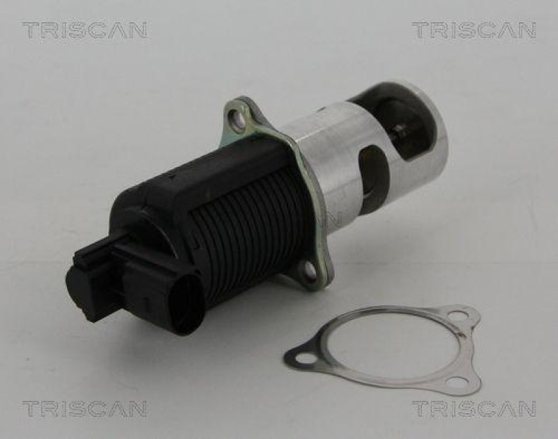 TRISCAN 8813 25038 Agr Ventil für Renault/Dacia