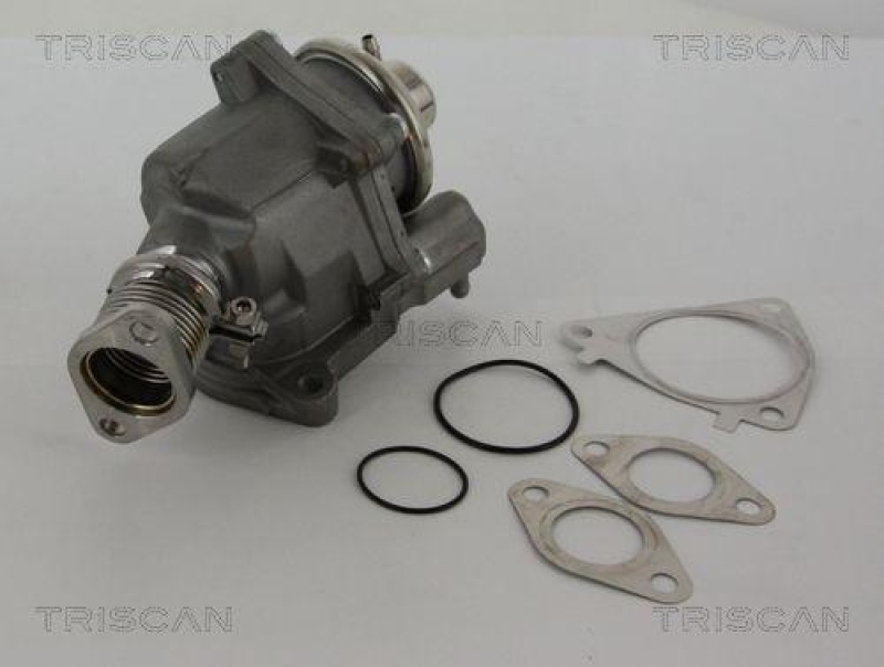 TRISCAN 8813 28019 Agr Ventil für Psa