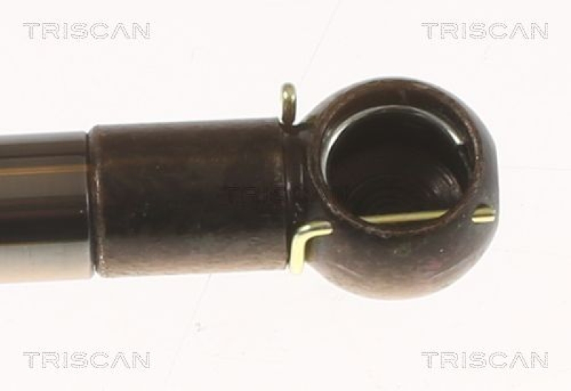 TRISCAN 8710 50213 Gasfeder Hinten für Mazda 323 F Ba