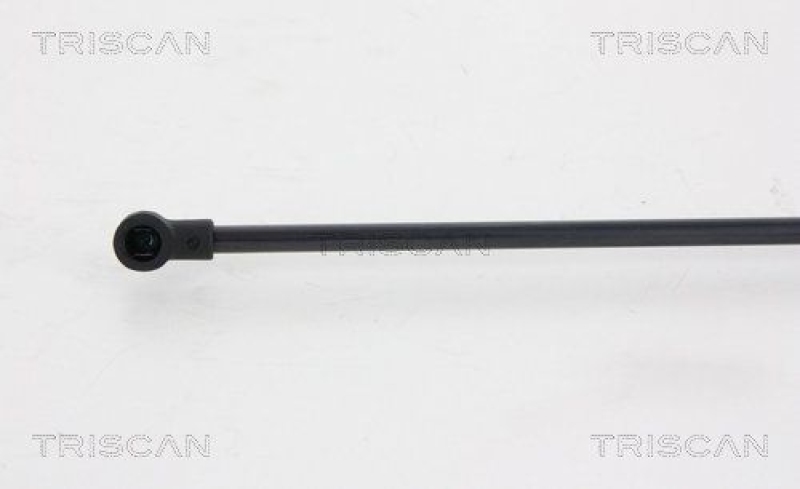 TRISCAN 8710 28243 Gasfeder Hinten für Peugeot 207Cc