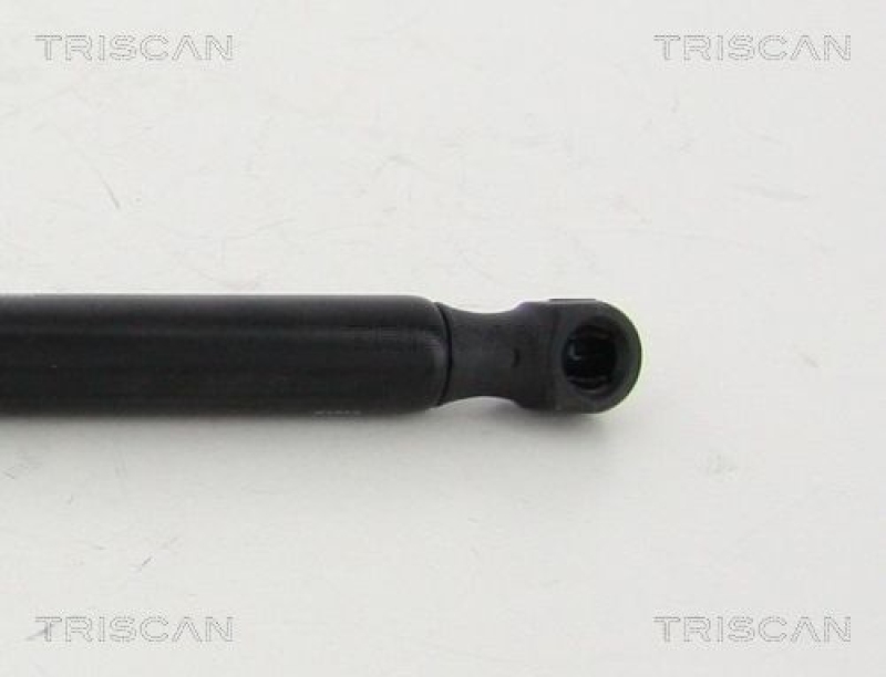 TRISCAN 8710 112004 Gasfeder Hinten für Bmw X3 F25