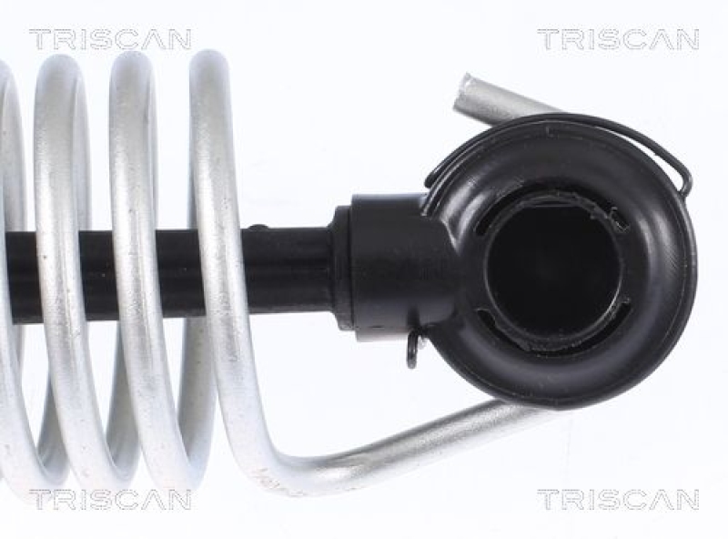 TRISCAN 8710 112015 Gasfeder Hinten für Bmw