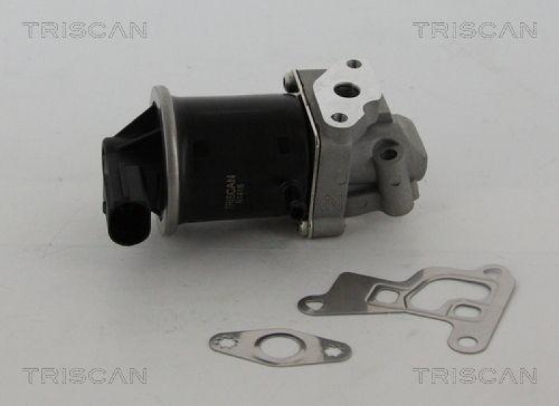 TRISCAN 8813 29100 Agr Ventil für Vw