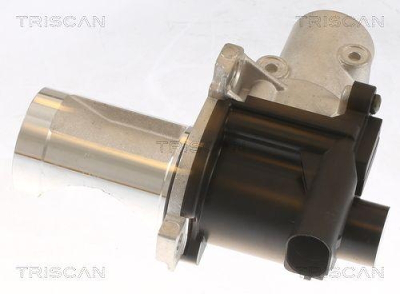 TRISCAN 8813 29101 Agr Ventil für Vw