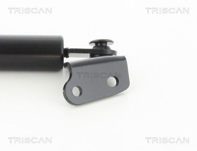 TRISCAN 8710 50256 Gasfeder Hinten für Cx5