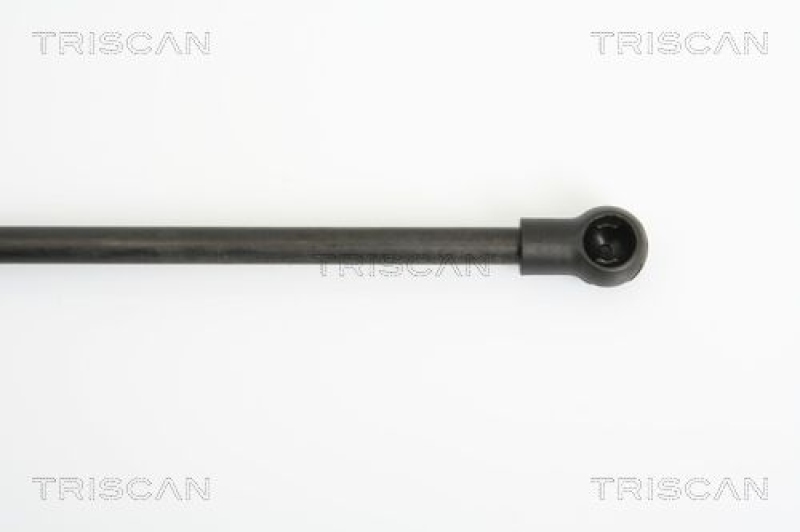 TRISCAN 8710 29124 Gasfeder Vorne für Vw Polo 9N2