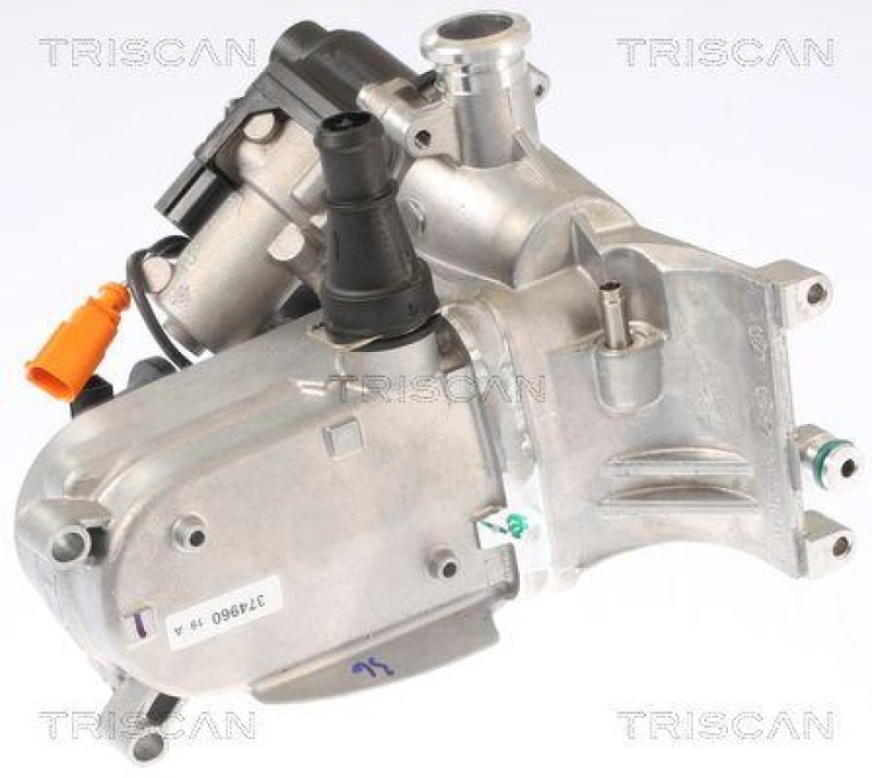 TRISCAN 8813 29321 Agr Ventil für Audi, Vw, Porsche