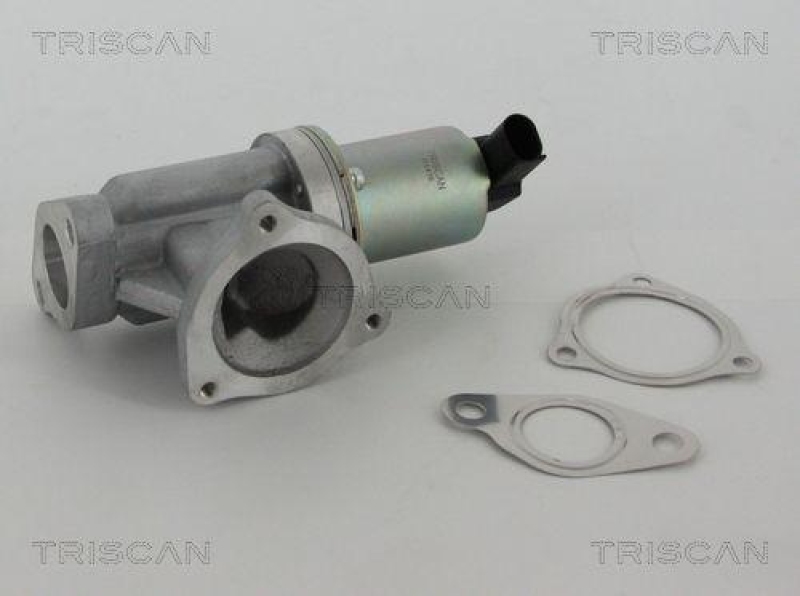 TRISCAN 8813 43002 Agr Ventil für Hyundai/Kia