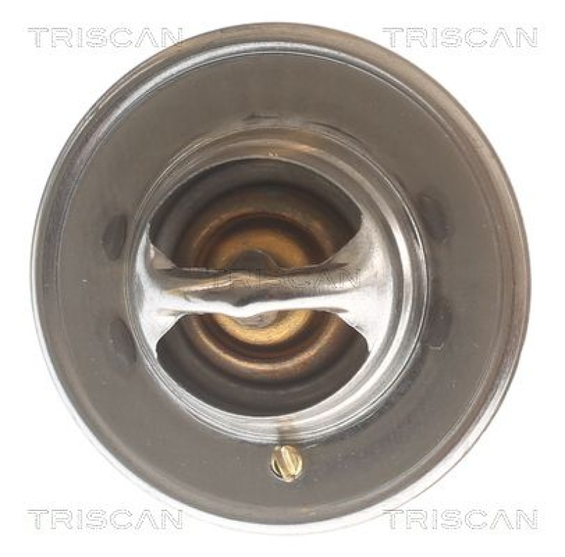 TRISCAN 8620 7882 Thermostat für Rover (1)