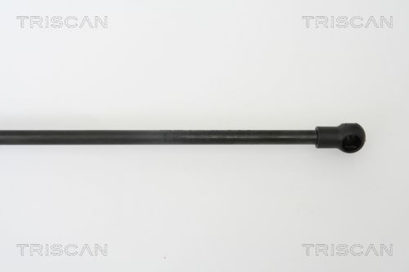 TRISCAN 8710 66203 Gasfeder Hinten für Seat Toledo Iii 5P2