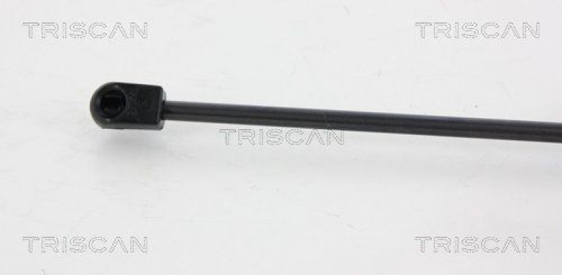 TRISCAN 8710 66208 Gasfeder Hinten für Seat Exeo Sw