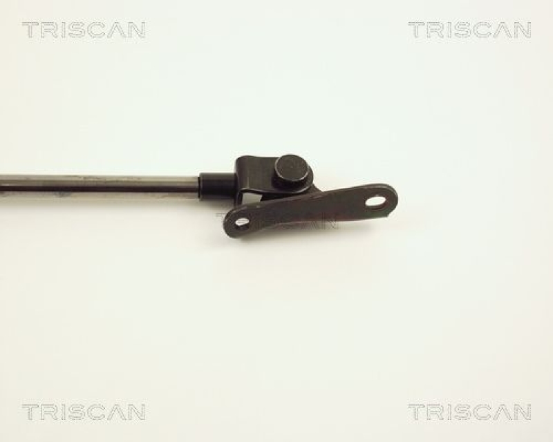 TRISCAN 8710 13234 Gasfeder Hinten für Toyota Carina E