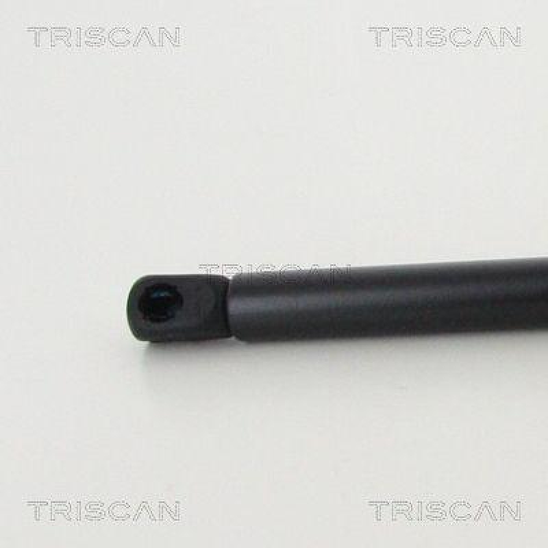 TRISCAN 8710 292049 Gasfeder Hinten für Skoda Fabia