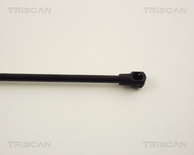 TRISCAN 8710 13256 Gasfeder Hinten für Toyota Corolla Wagon #E12