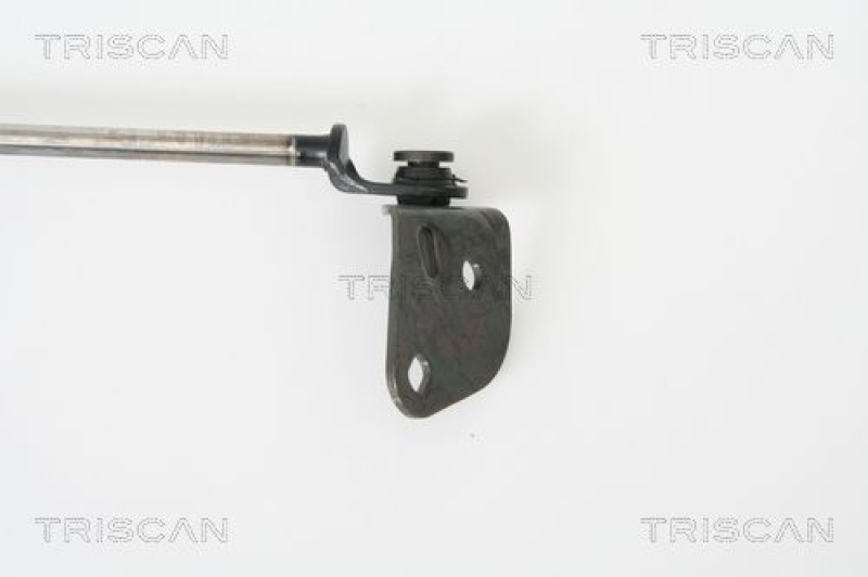 TRISCAN 8710 69214 Gasfeder Hinten für Suzuki Alto Iii