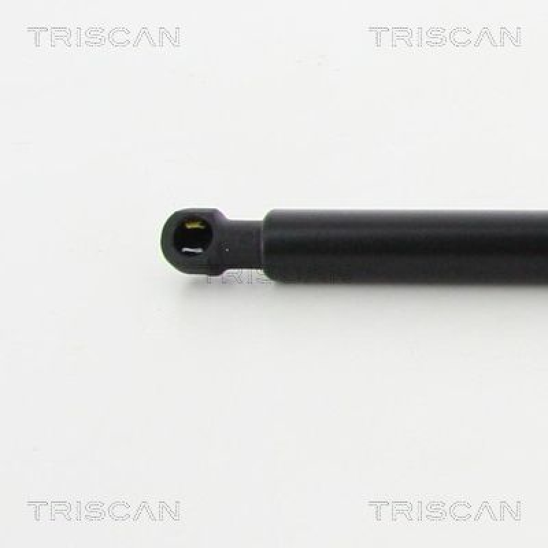 TRISCAN 8710 13276 Gasfeder Hinten für Toyota