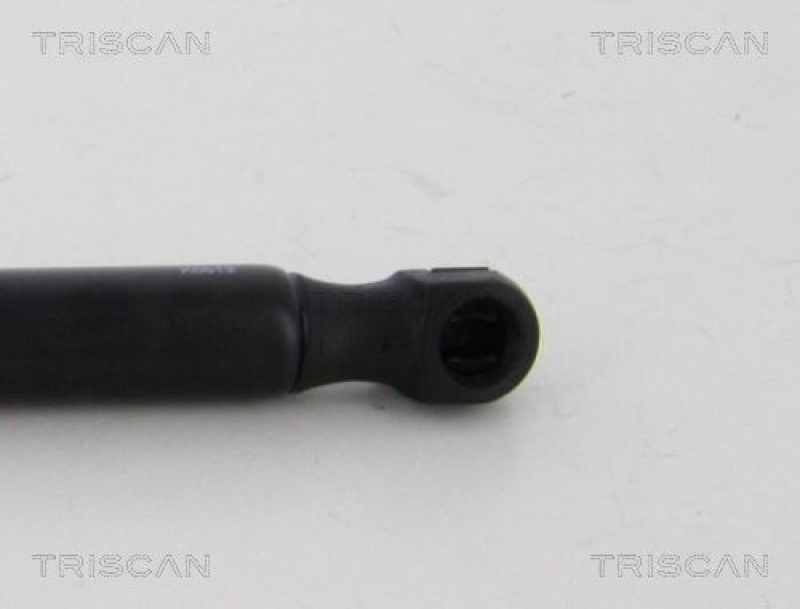 TRISCAN 8710 80215 Gasfeder Hinten für Chrysler 300