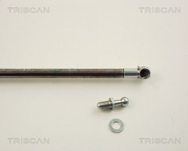 TRISCAN 8710 14219 Gasfeder Hinten für Nissan Sunny N14